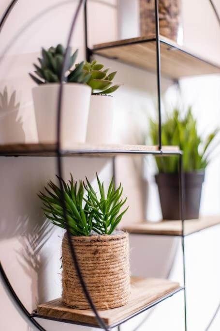 Forest Chic : Maison San Marina Apartment Parmain Exterior foto